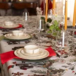 RUDY TOVAGLIA DI COTONE