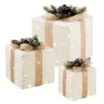 Set Elementi Decorativi Doni Splendenti