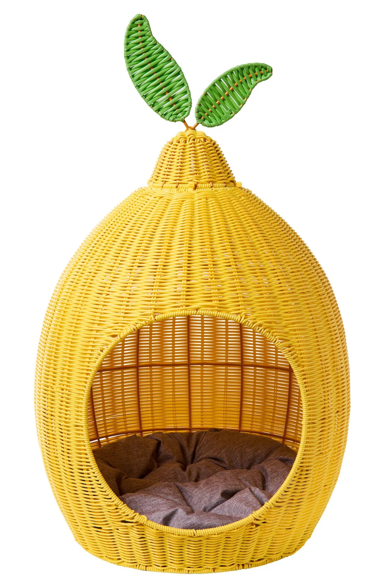 cuccia limone Cuccia Limone - immagine 1